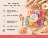 Scents of Summer Discovery Box