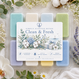 Clean & Fresh Wax Melt Discovery Box