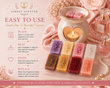Luxury Fine Fragrances for Her Discovery Box
