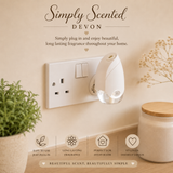 Plug in Diffuser