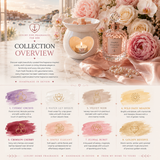 Luxury Fine Fragrances for Her Wax Melt Discovery Box