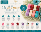 Customer Favorites Wax Melt Discovery Box