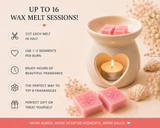 Scents of Summer Discovery Box