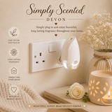 Plug in Diffuser