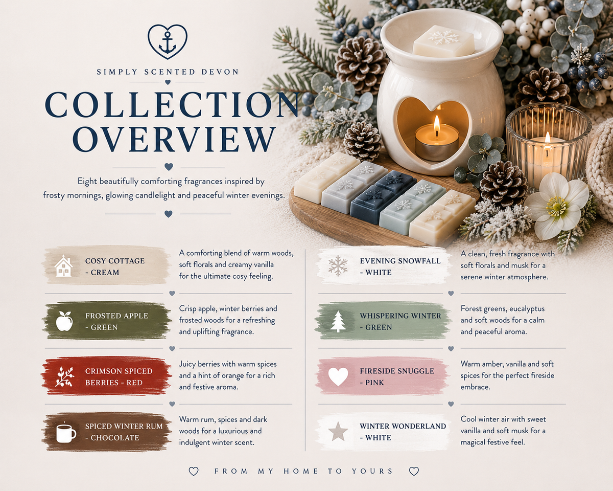 Winter Solstice Discovery Box