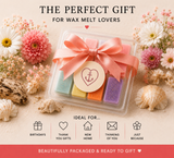 Scents of Summer Discovery Box