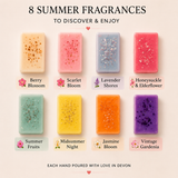Scents of Summer Discovery Box