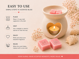Scents of Summer Discovery Box