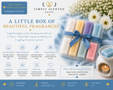 Clean & Fresh Wax Melt Discovery Box