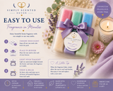 Bath & Body Wax Melt  Discovery Box - Lush inspired