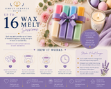 Bath & Body Wax Melt  Discovery Box - Lush inspired