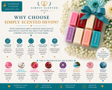 Customer Favorites Wax Melt Discovery Box