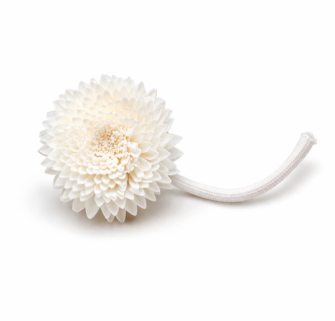 Natural Sola Wood Diffuser Flowers Only