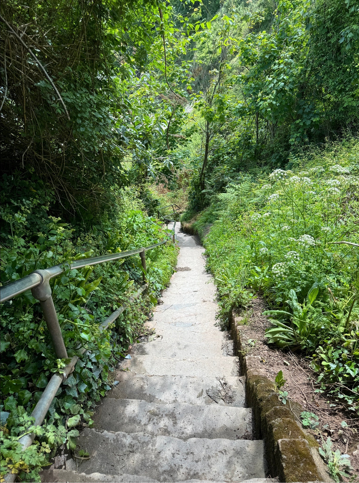 Hidden Path Wax Snap Bar