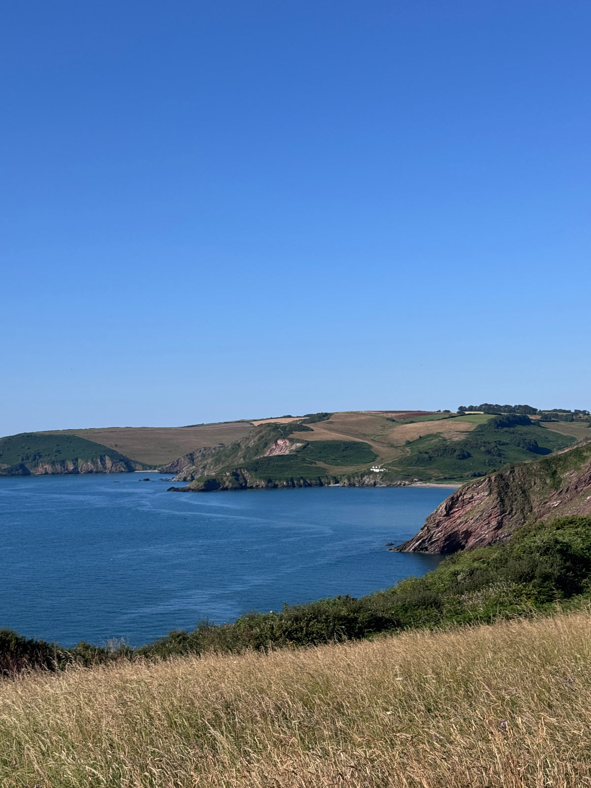 A scenic coastal landscape with blue water, green and brown hills, and a clear blue sky, with dry grass in the foreground.