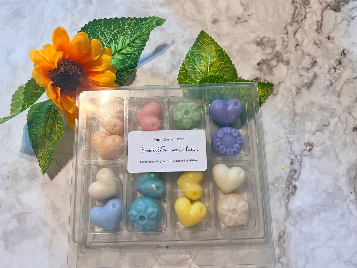 Wax Melt Sample Box - Selection Box