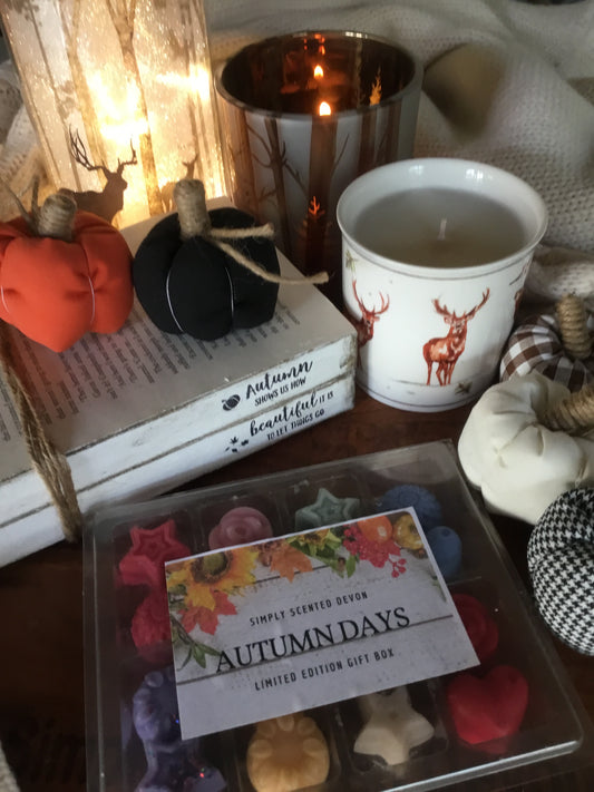 Autumn Days Limited Edition Selection Box
