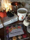 Autumn Days Limited Edition Selection Box