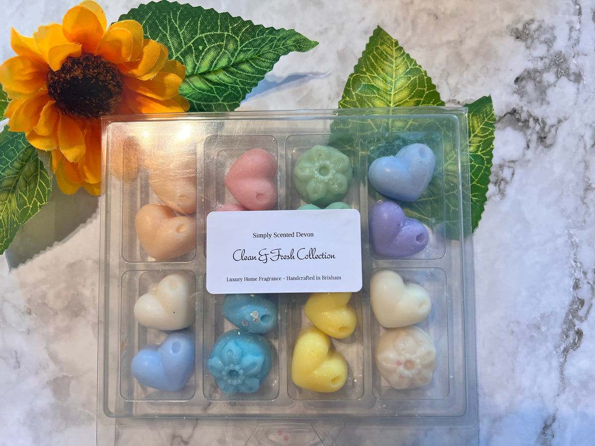 Wax Melt Sample Box - Selection Box