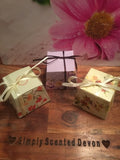 Whoopsie Daisy Mini Melt Gift Boxes