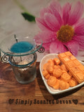 Wax Melts - Gingerbread