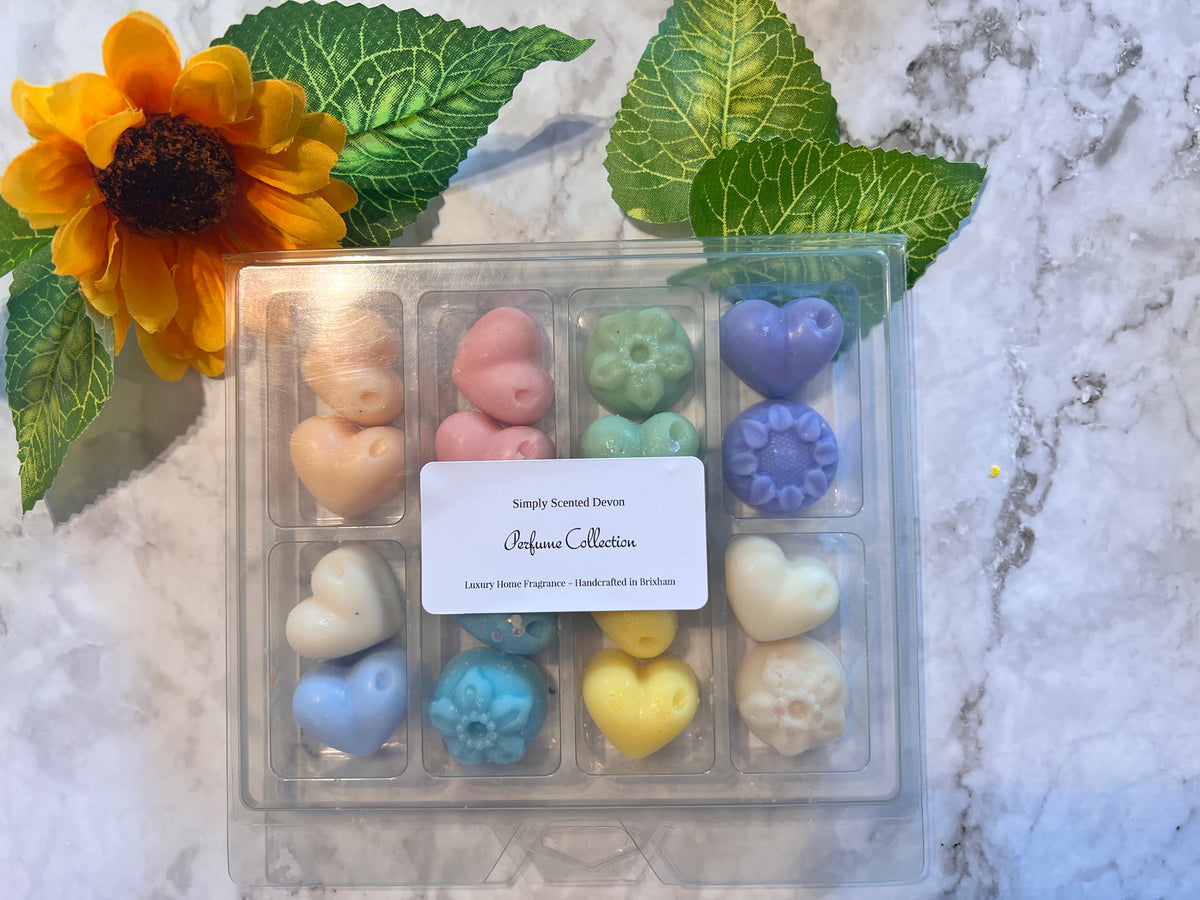 Wax Melt Sample Box - Selection Box