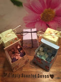 Whoopsie Daisy Mini Melt Gift Boxes