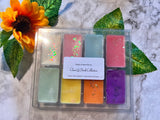 Clean & Fresh Wax  Melt Sample Box - Selection Box
