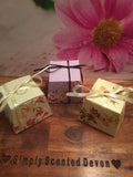 Whoopsie Daisy Mini Melt Gift Boxes