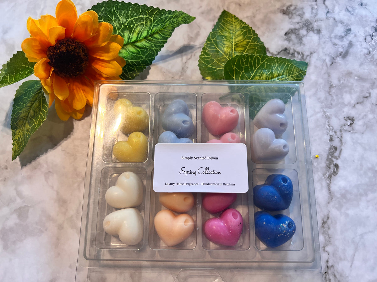 Wax Melt Sample Box - Selection Box