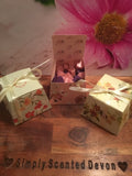 Whoopsie Daisy Mini Melt Gift Boxes