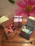 Whoopsie Daisy Mini Melt Gift Boxes