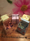 Whoopsie Daisy Mini Melt Gift Boxes
